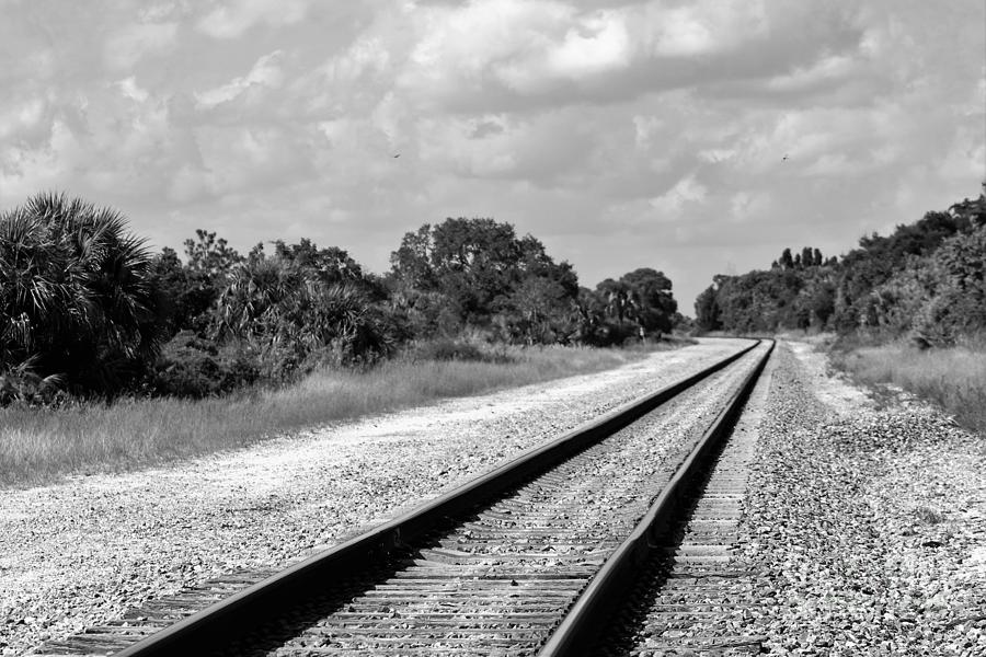 Rails Photograph by Mesa Teresita