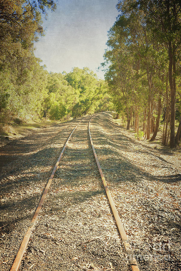 Railway Line, Farrell Street, Bridgetown, Western Australia Photograph by Elaine Teague