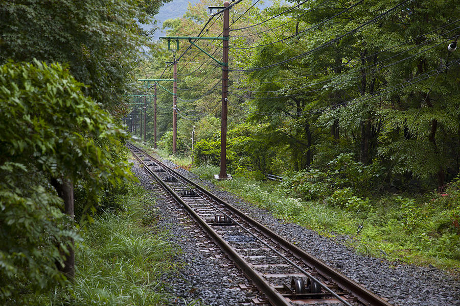 Railway through forest Photograph by Guoyu_Zhao
