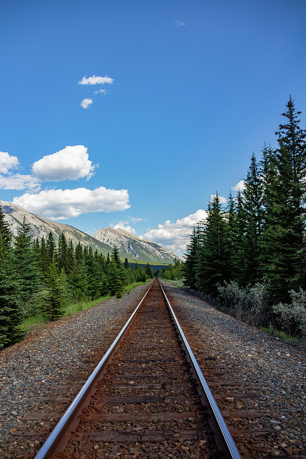 Railway through the Rockies Photograph by Cindy Robinson
