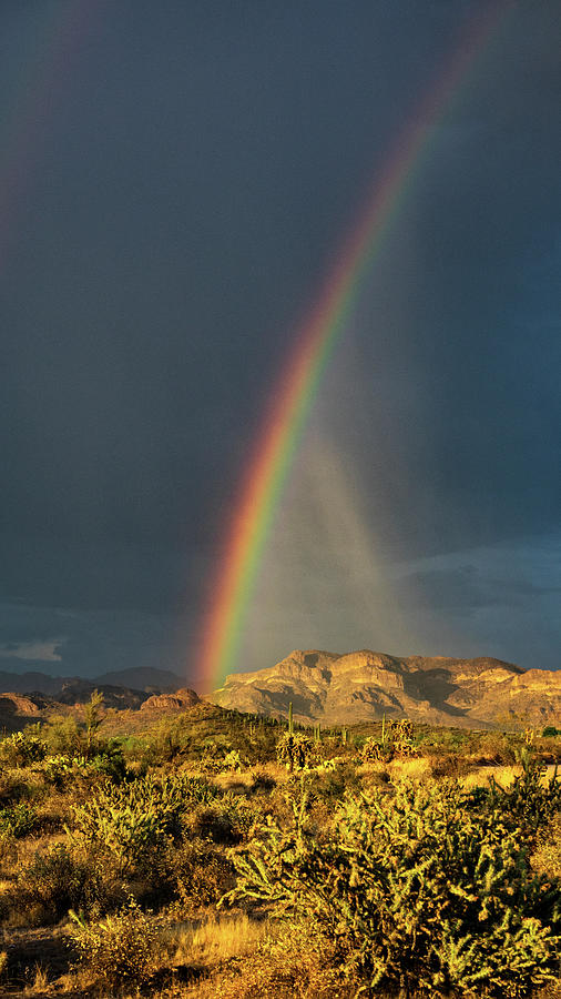 Rain And Rainbows Kinda Day  Photograph by Saija Lehtonen