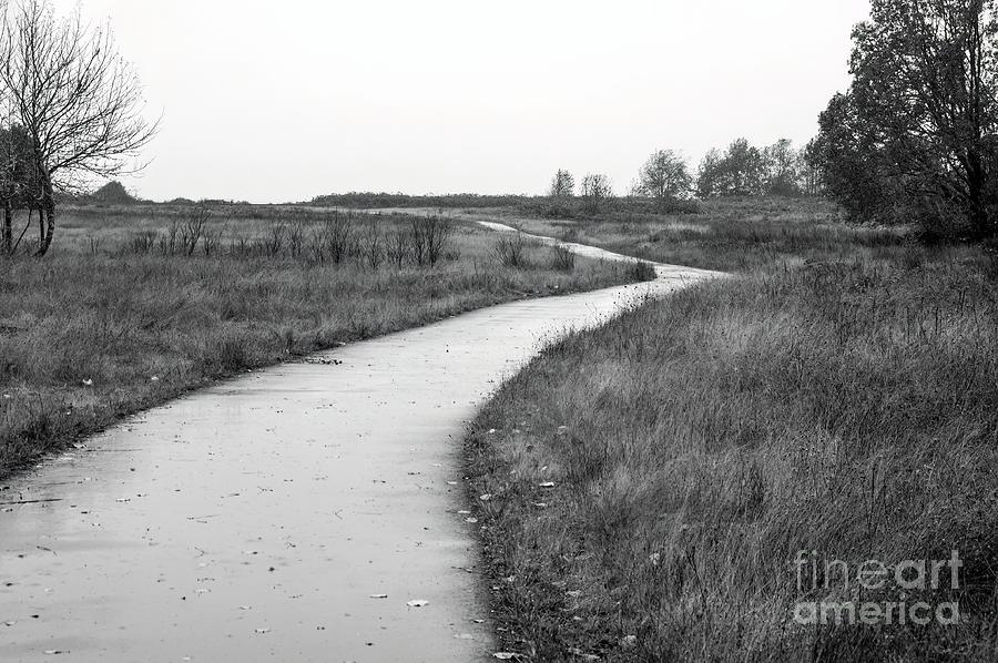 Rain Curves 2023 Photograph By Michael Ziegler Pixels