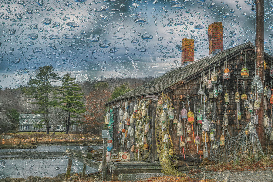 Rain Drops Keep Falling Photograph by Penny Polakoff