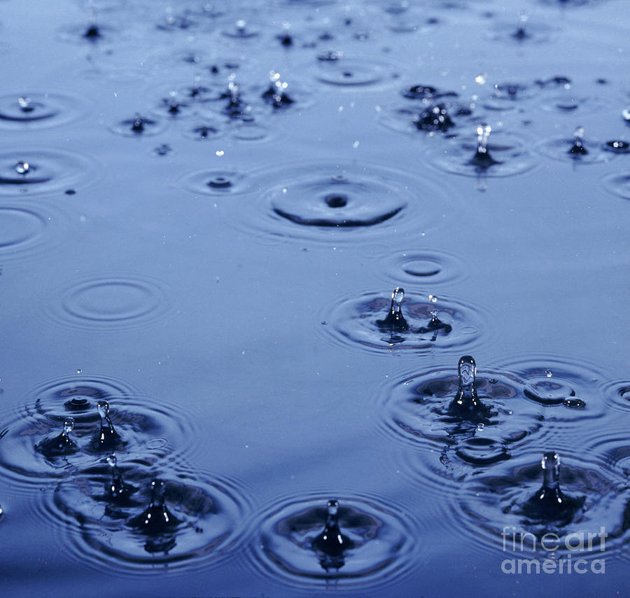 Rain Drops on Water Photograph by Warren Photographic