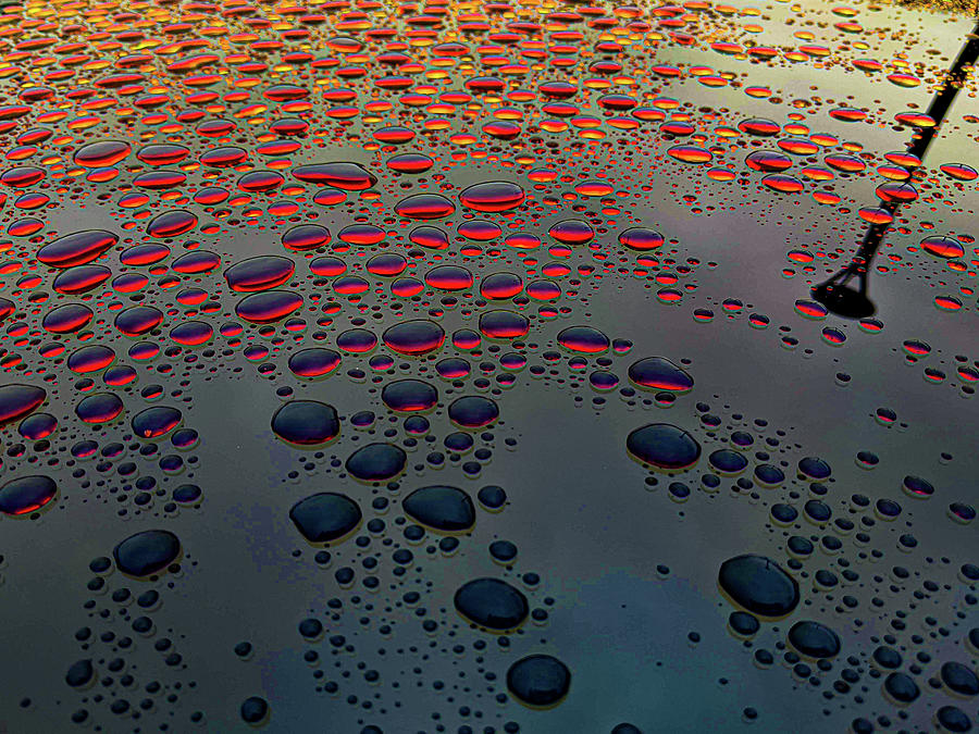 Rain Drops Photograph by Paul Wear