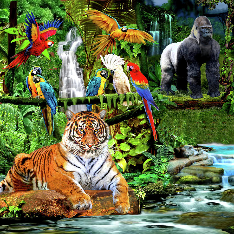 Rain Forest Wildlife Digital Art by Glenn Holbrook