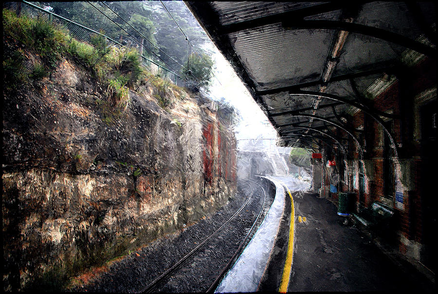 Rain. Leura train station Photograph by Andrei SKY