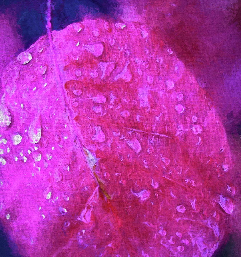 Rain On A Leaf Painting by Russ Harris