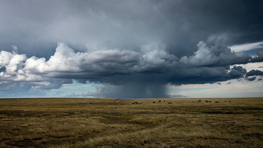 Rain on the Plains Photograph by Tim Stanley
