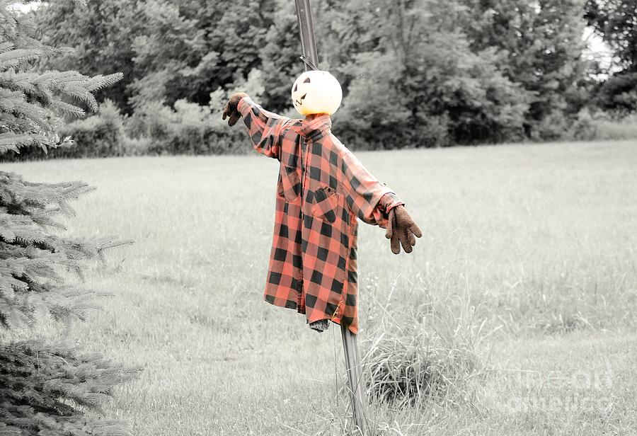 Rain on the scarecrow photograph by scott ward fine art america