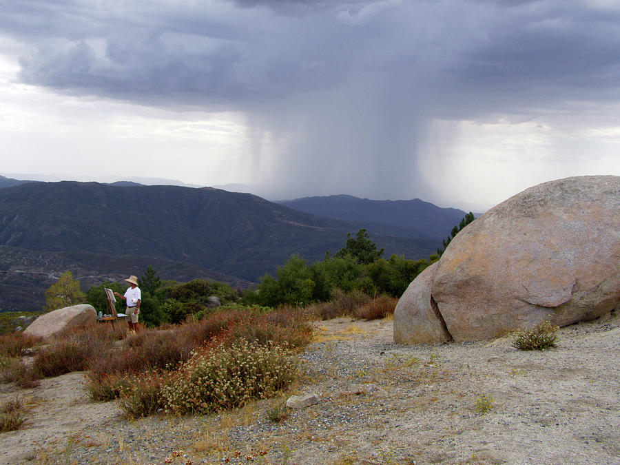 Rain or Shine - Idyllwild, California Photograph by Denise Strahm