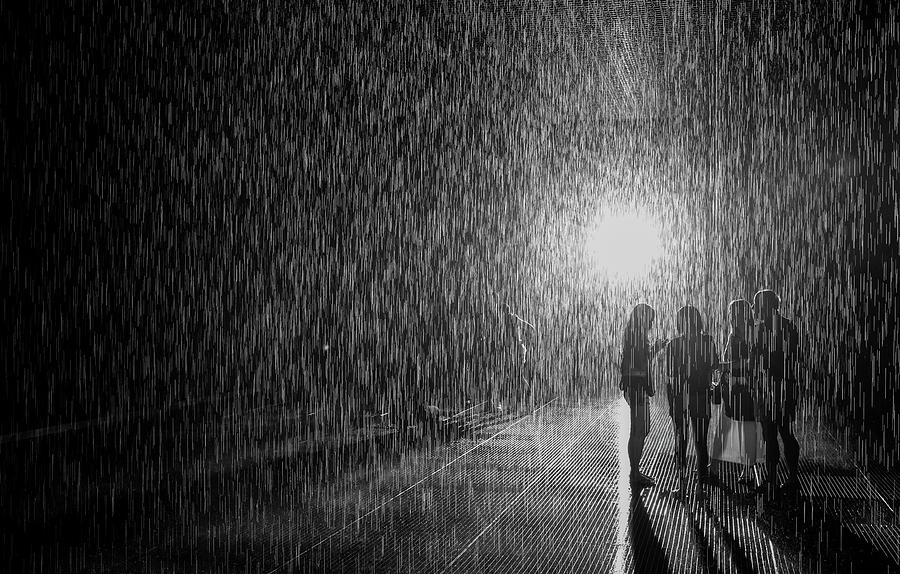 Rain Room 1 Photograph by Taro Kuriyama