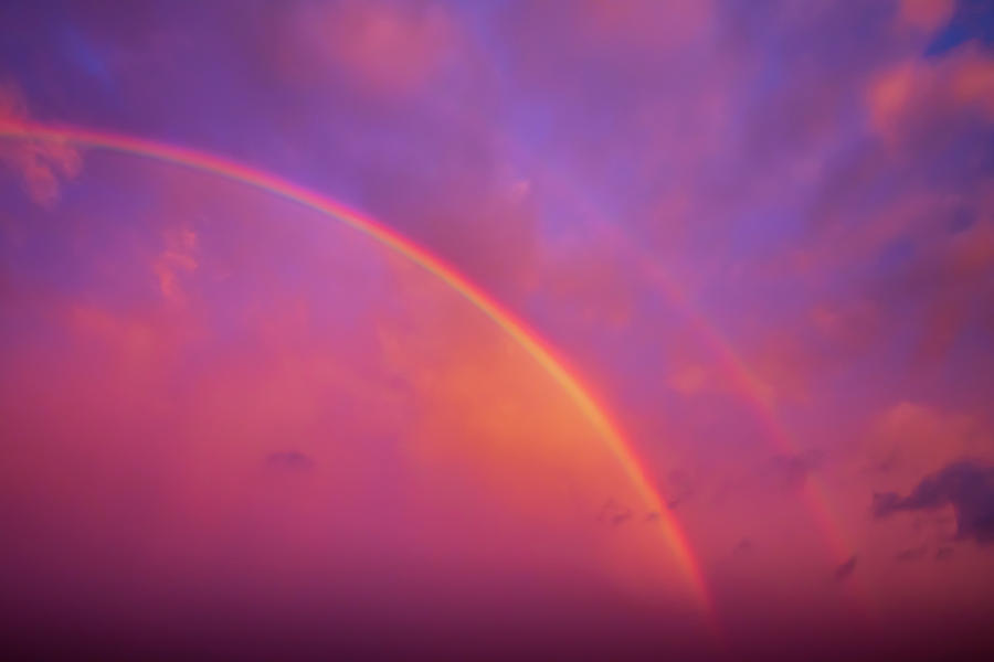 Rainbow  Photograph by Allin Sorenson