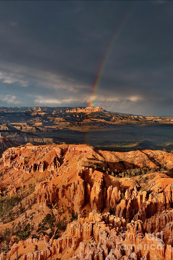 Rainbow Aquarius Plateau Bryce Canyon National Park Photograph by Dave Welling