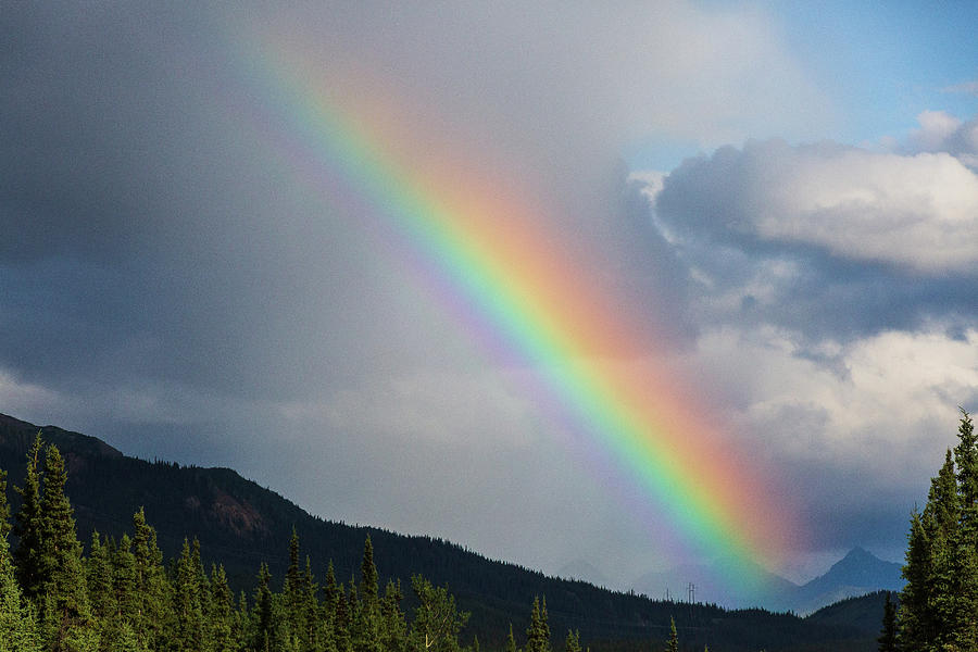 Rainbow Arch Photograph by Terri Morris - Fine Art America