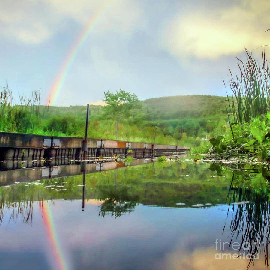 Rainbow Art Photograph by Doc Braham