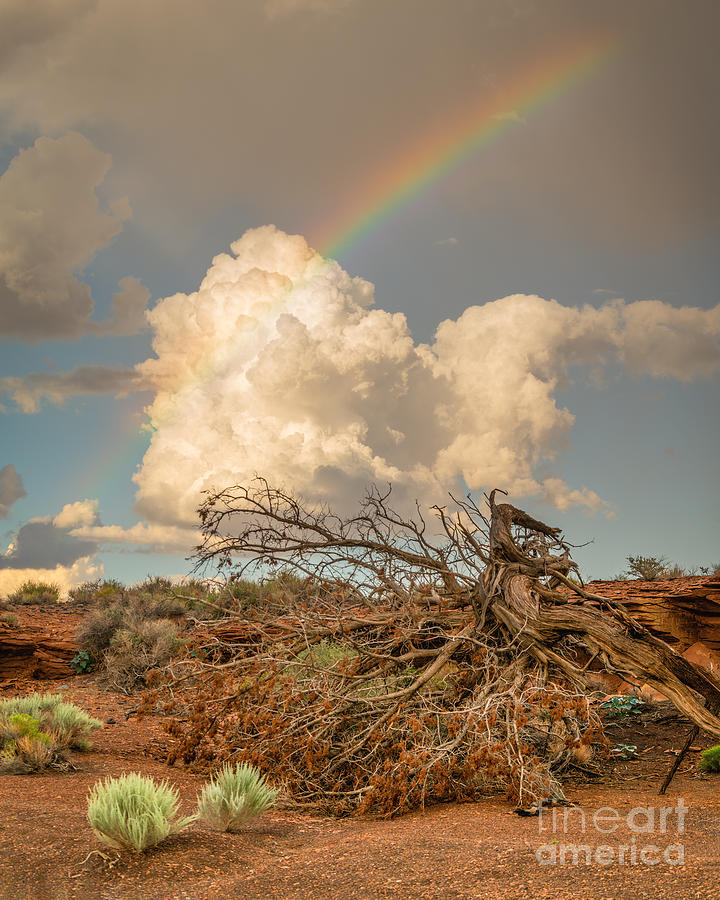 Rainbow At Wupatki Photograph by Lisa Manifold