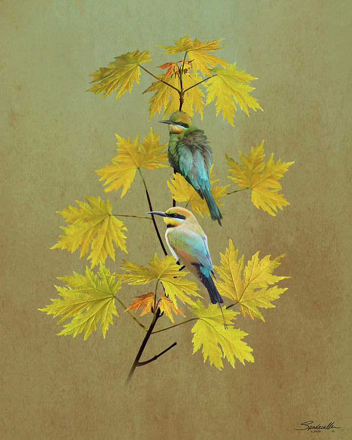 Bee-eaters in Japanese Maple Tree  Digital Art by M Spadecaller