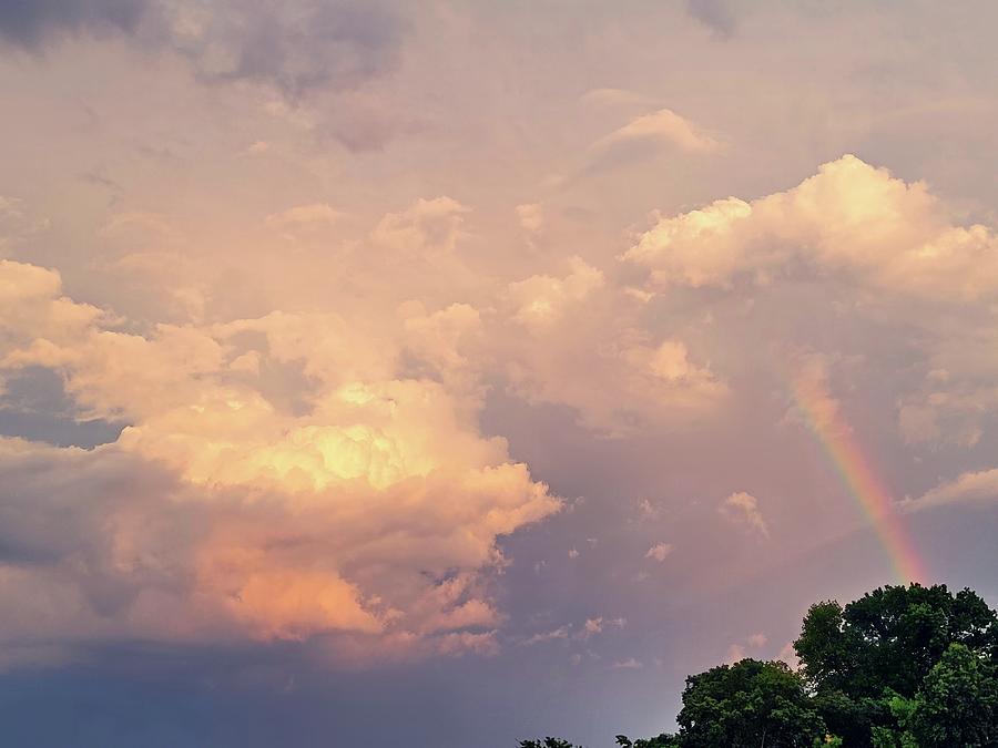 Rainbow Before Sunset  Photograph by Ally White