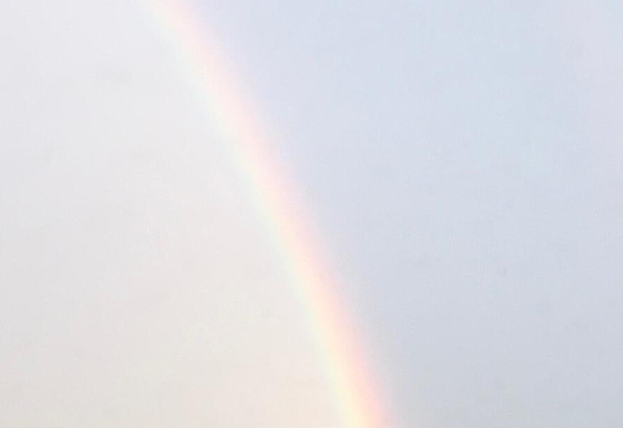 Rainbow Blush Photograph by Marcia k Rogers