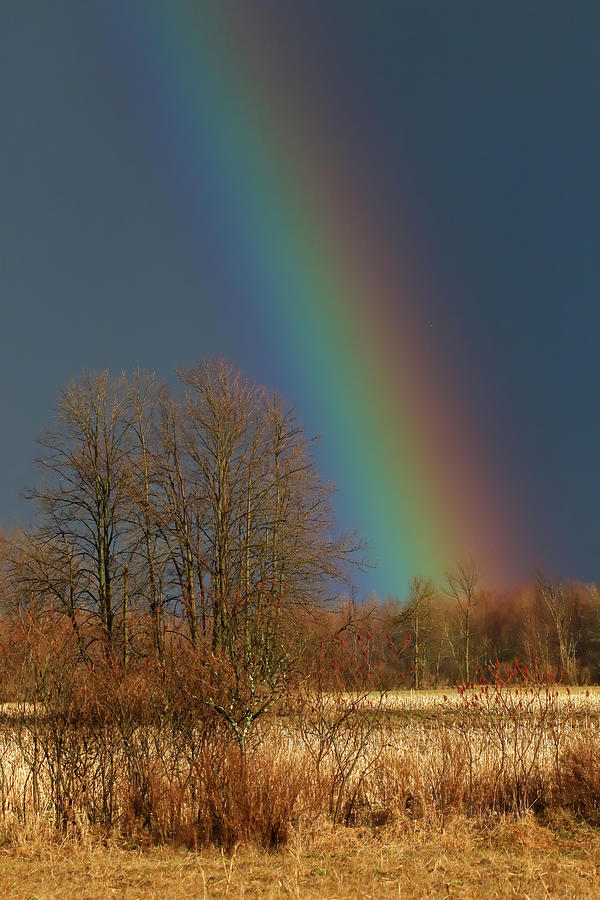 Rainbow Photograph by Brook Burling