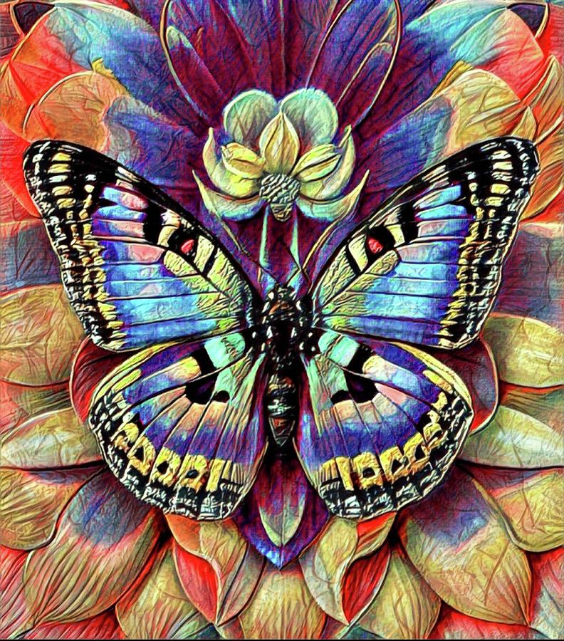 Rainbow Butterfly Digital Art By Barry Patrick Fine Art America