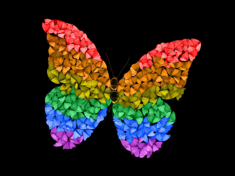 Rainbow Butterfly Digital Art by Scott Fulton