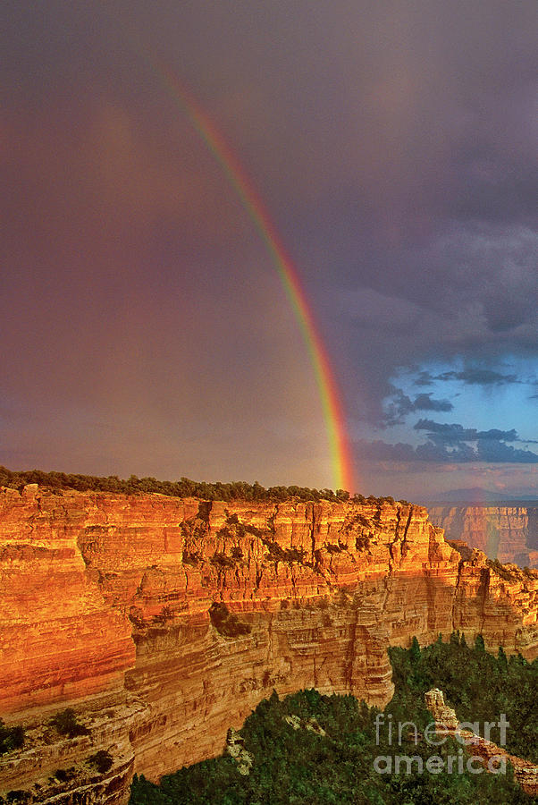 Rainbow Cape Royal North Rim Grand Canyon National Park Arizona Photograph by Dave Welling