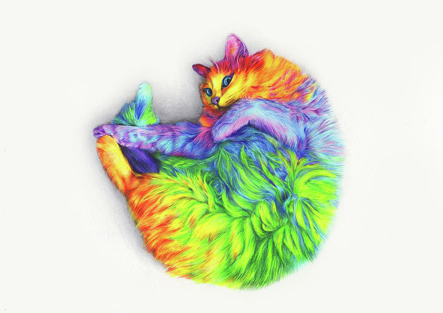 Rainbow Cat Drawing by Leona Chui