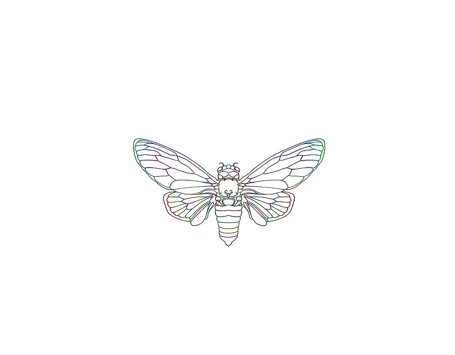 Rainbow Cicada Sticker Mixed Media by Stephanie Hollingsworth
