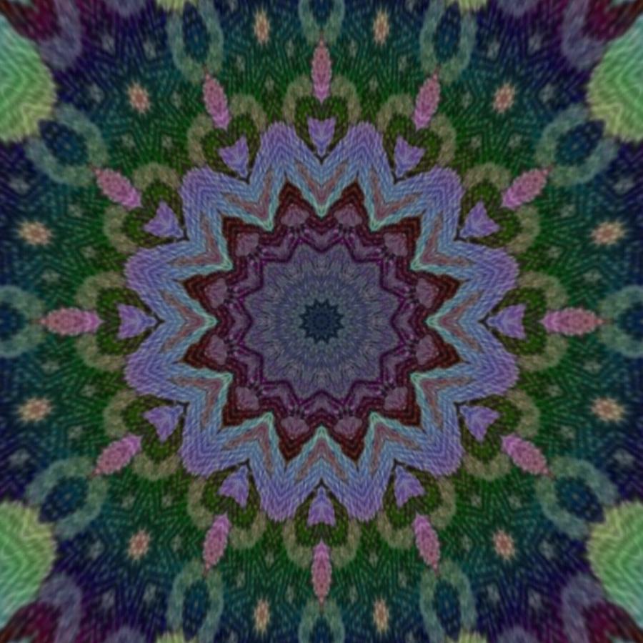 Rainbow Damask Daisy Trippy Digital Art By Sara Seeley Fine Art America