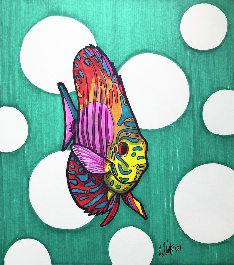 Rainbow Discus Fish Drawing by Creative Spirit