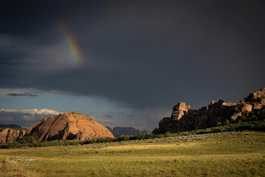 Rainbow Dome Photograph by Dave Diegelman