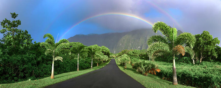 Rainbow Drive Photograph by Sean Davey