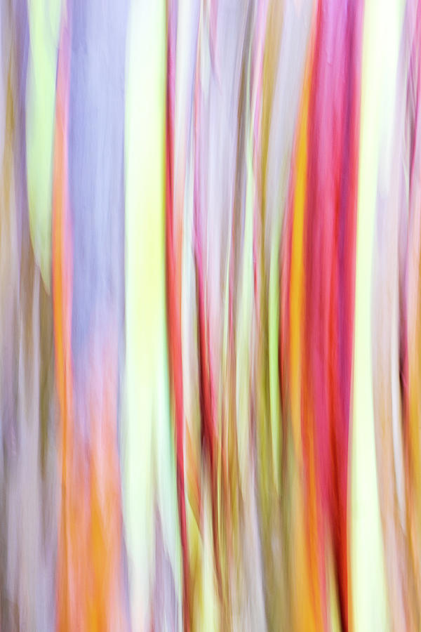 Rainbow Eucalyptus Abstract I - Vertical Photograph by Stefan Mazzola
