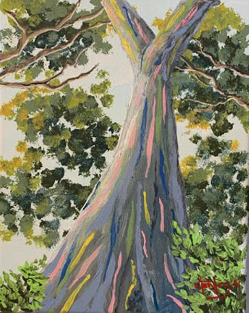 Rainbow Eucalyptus Tree Painting by David Stanley - Fine Art America