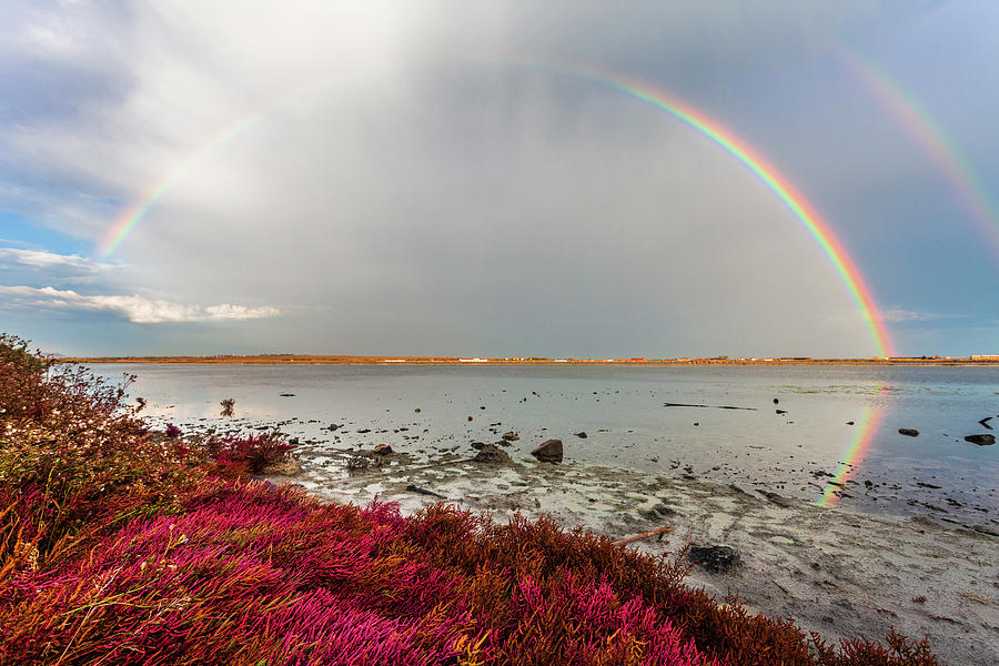 Rainbow Photograph by Evgeni Dinev