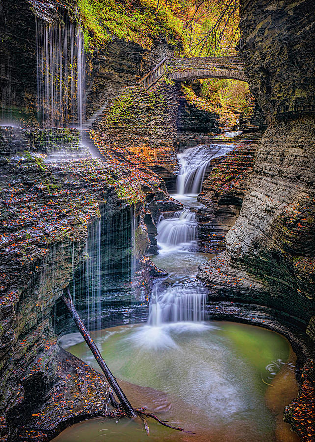 Rainbow Bridge Watkins Glen 56 Photograph by Harriet Feagin