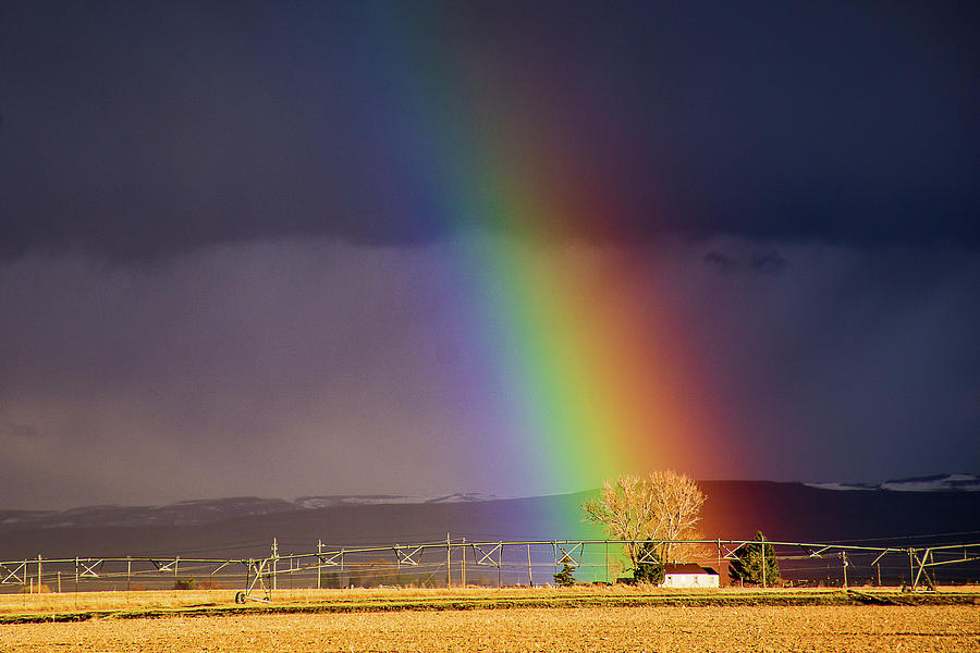 Rainbow Farm Photograph by Dianne Milliard
