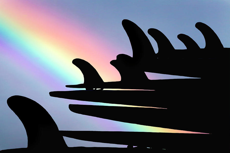 Rainbow Fins Photograph by Sean Davey