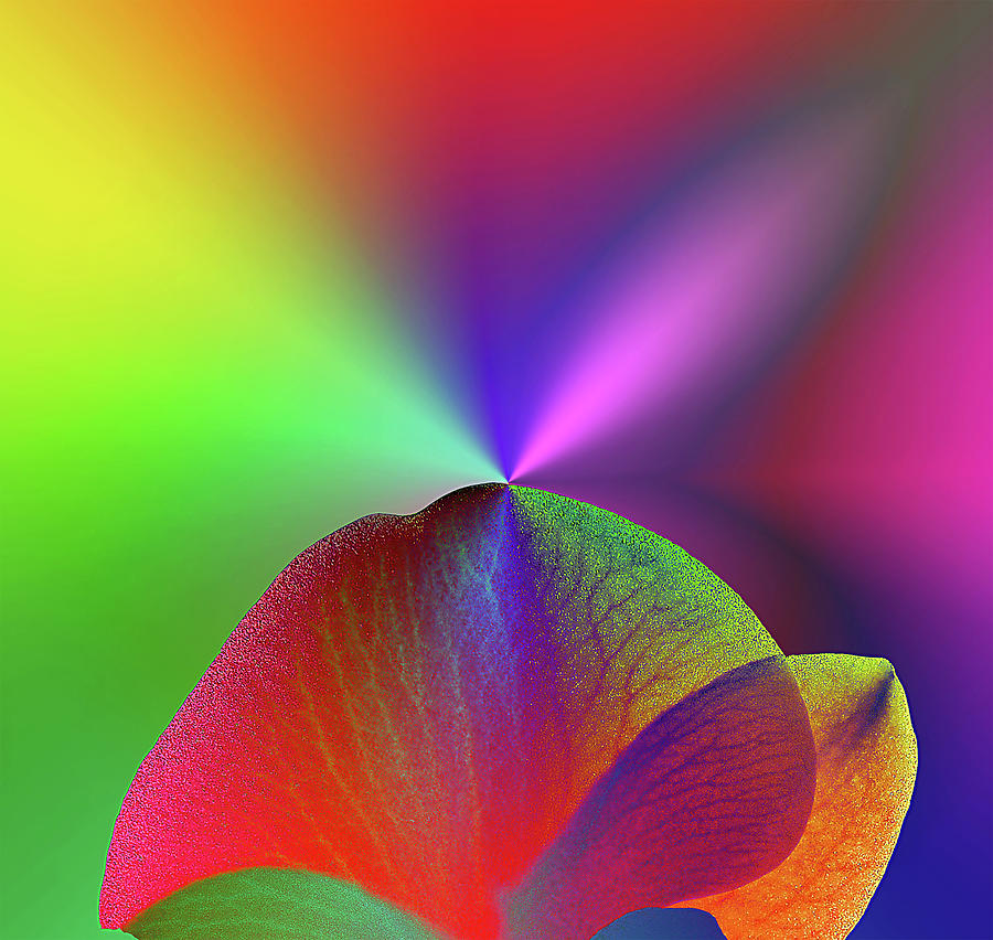 Rainbow Flower   - 7030-1 Photograph by Panos Pliassas