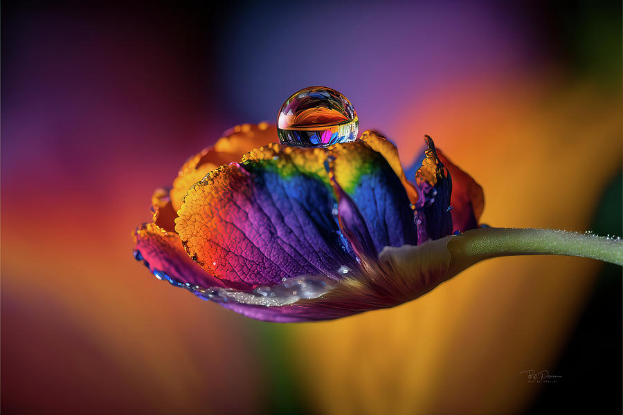 Rainbow Flower Digital Art by Bill Posner