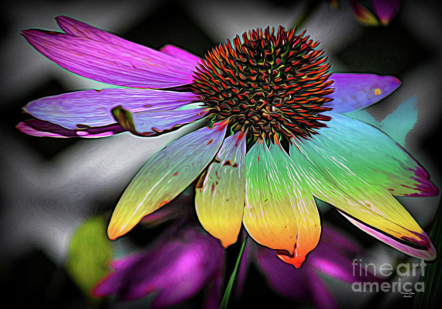 Flower Photograph - Rainbow Flower by Wanda-Lynn Searles