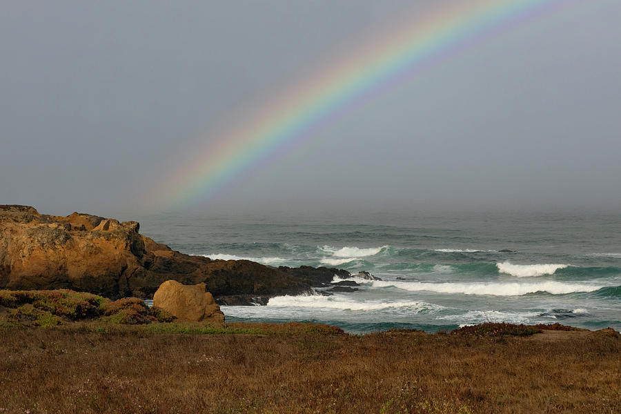 Rainbow Fog Photograph by Frank Wilson