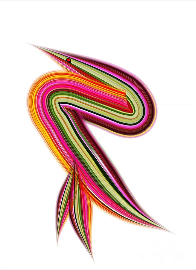Rainbow footed booby Digital Art by Scott S Baker