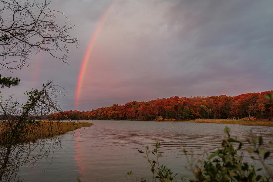 Rainbow in Autumn Photograph by Rachel Morrison