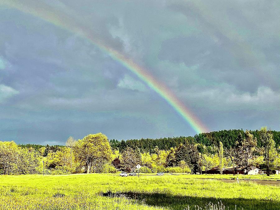Rainbow in Eugene Photograph by Michael Oceanofwisdom Bidwell
