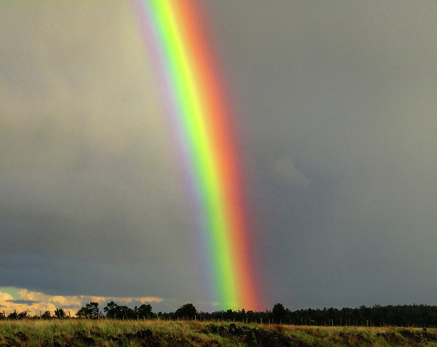 Rainbow in Flagstaff III Photograph by Caroline Haldeman - Pixels