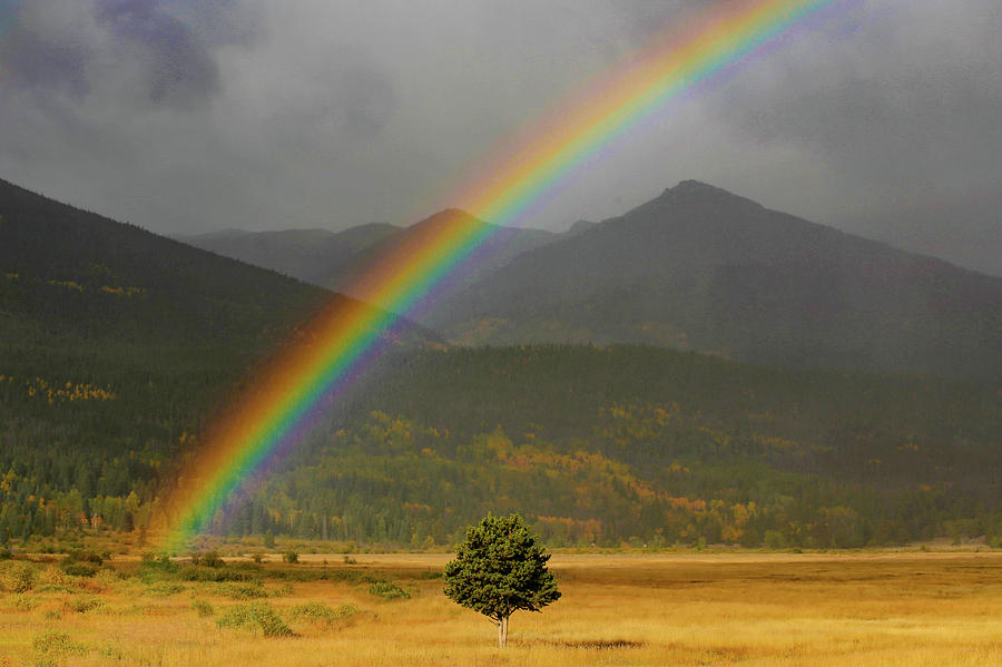 Rainbow in Horseshoe Park Photograph by Lynn Sprowl