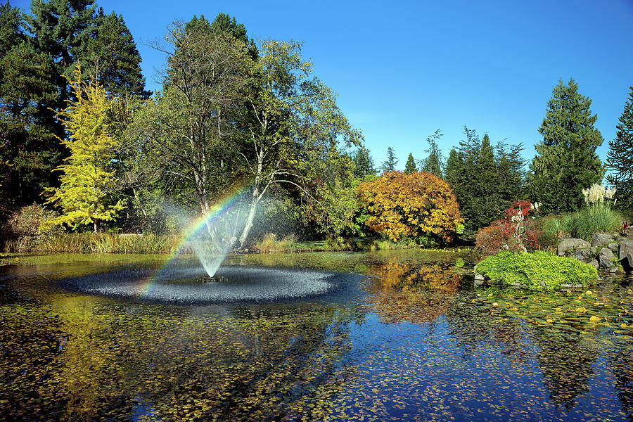 Rainbow in the fountain Photograph by Alex Lyubar